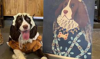 重庆好的宠物医院 南京艾贝尔宠物医院