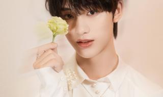 严浩翔追星文案 严浩翔17岁生日文案