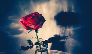 蚊子血朱砂痣张爱玲经典台词 张爱玲朱砂痣那段话